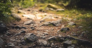 Walking the Parable of the Sower: Rocky Ground