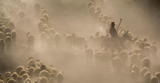 The Source of Our Strength  - Greg Laurie Devotion - February 21, 2026