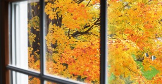 Autumn fall leaves falling out of window seasons changing