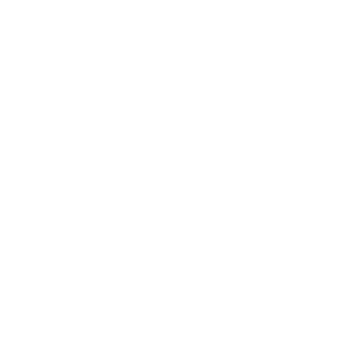 Healing the Soul: A 4-Week Study to Foster Emotional Healing Through Scripture and Prayer