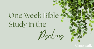 One Week Bible Study in Psalms