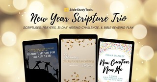 New Year Trio: Scriptures, Prayers, Writing Challenge, & Reading Plan
