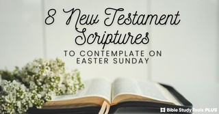 8 New Testament Scriptures to Contemplate on Easter Sunday