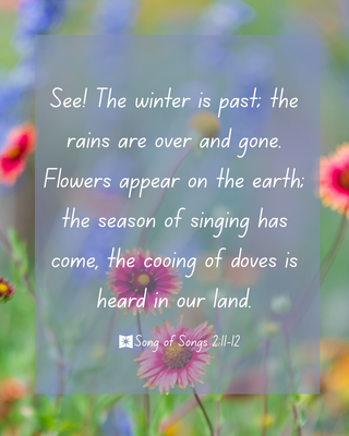 Song of Songs 2:11-12