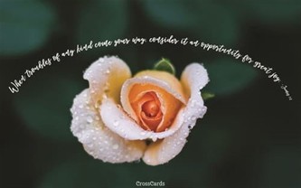 Your Daily Verse - James 1:2
