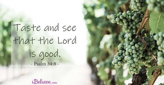 A Prayer to Taste and See God's Goodness - Your Daily Prayer - October 3