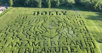 Dolly Parton Corn Mazes Are Cropping Up Nationwide in a Sweet Tribute to the Country Legend