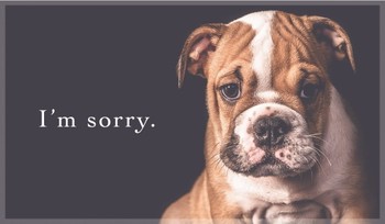 I'm Sorry