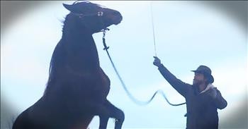 Wild Horse Who Nearly Kills Farmer Gets Happy Ending