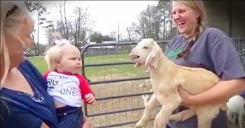 Tiny Goat And Baby Copy Each Other