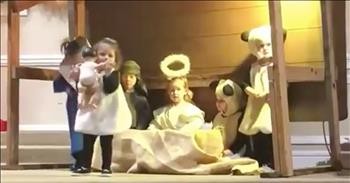 Sheep Takes Baby Jesus During Christmas Play