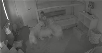Security Cam Shows Dogs Helping Toddler Escape