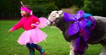 3-Year-Old And Sheep Are The Best Of Friends