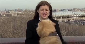 Curious Dog Steals Reporter's Microphone On Live TV