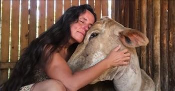 Mistreated Cow Finds Comfort In The Arms Of Her Rescuer