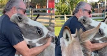 Caretaker Sings “Amazing Grace” To Group Of Rescued Donkeys