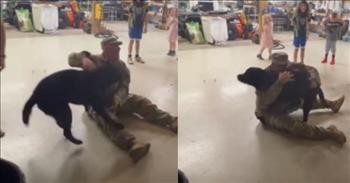 Dog’s Excited Reunion with His Military Human