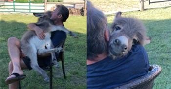 Man Sings 'Somewhere Over The Rainbow’ To Rescued Donkey Cuddled On His Lap