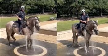 Police Officer Helps Horse Cool Down At Local Splash Pad