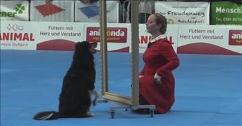 Dog and Human Mimic Each Other In Mirror During Mesmerizing Dance Routine