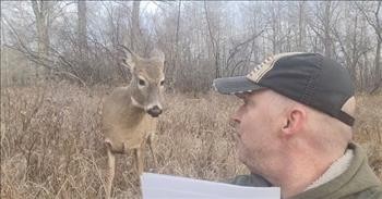 Deer Stands Nearby And Listens As Man Reads Shakespeare