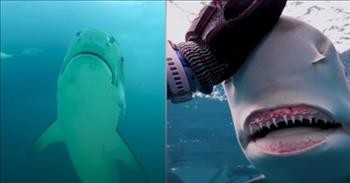 Woman And 9-Foot Long Shark Are Best Friends