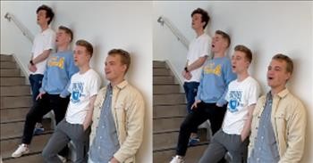 Young Men Stunning A Cappella Cover Of ‘Surfer Girl’ By The Beach Boys