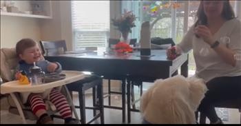 Baby's Uncontrollable Laughter At Dog's Bubble Antics