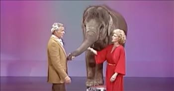 Betty White Surprises Johnny Carson With An Elephant