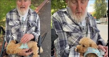 Energetic Little Dog And Elderly Man's Adorable Bond Captures Hearts