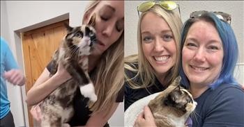 Cat Reunited With Owner After Jumping In Amazon Box And Traveling 600 Miles