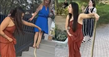 Fearless Bridesmaid Uses Steve Irwin's Technique To Remove Snake From Wedding