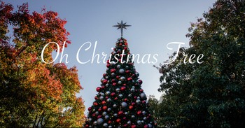 Oh Christmas Tree and its History