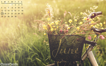 June 2022 - Wildflowers