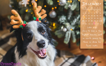 December 2022 - Luke 2:14