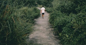 Why Creation Calms a Quarreling Heart