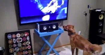 This Super Bowl Weekend We Present. . . The World's Biggest Sports Fan! LOL
