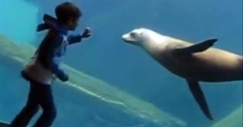 Boy with Asperger's Shares a Special Connection with a Beautiful Sea Creature