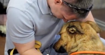 You Can FEEL the Love When This Sweet Dog is Reunited with Her Family