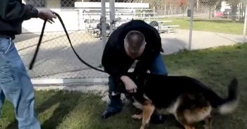 Military Man Reuniting with His Pup May be Best 18 Seconds of Your Day