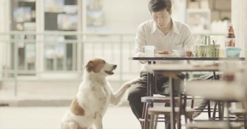 What Does It Really Mean to Give?