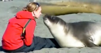 This Seal Sparks Up A Heartwarming Friendship - Filled With Slobbery Kisses!