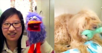 CRAZIEST Internet Song Collaboration - And They’re All Strangers. WOW!