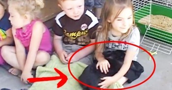 When This Preschool’s Bunny Was Stolen, One Kind Man Found Him In The Most Awful Place