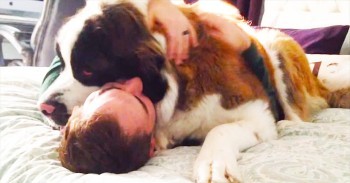 This Pup Loves When His Human Gets Home. Okay, Maybe PUP Was The Wrong Word. LOL!