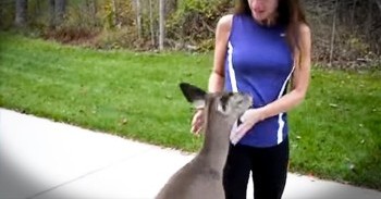 This Woman Gets A Surprise Visitor From The Woods Every Day. And It Just Melted My Heart!