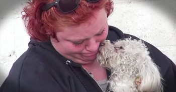 Homeless Poodle Brings Her Rescuer To Tears
