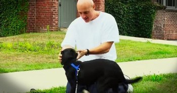 Prison Inmates Care For Stray Dogs