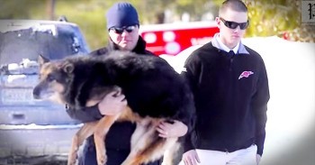Officers Say An Emotional Farewell To Their German Shepherd Comrade