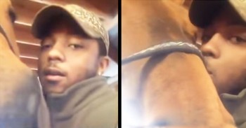 Adorable Horse Gives Man A Kiss